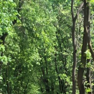 Meet your Posher, Mervin